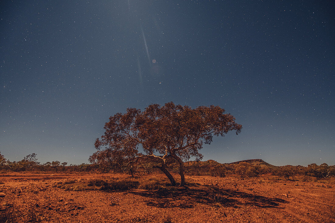 Moonlight at Hamersley Gorge in Karijini National Park in Western Australia, Australia, Oceania;