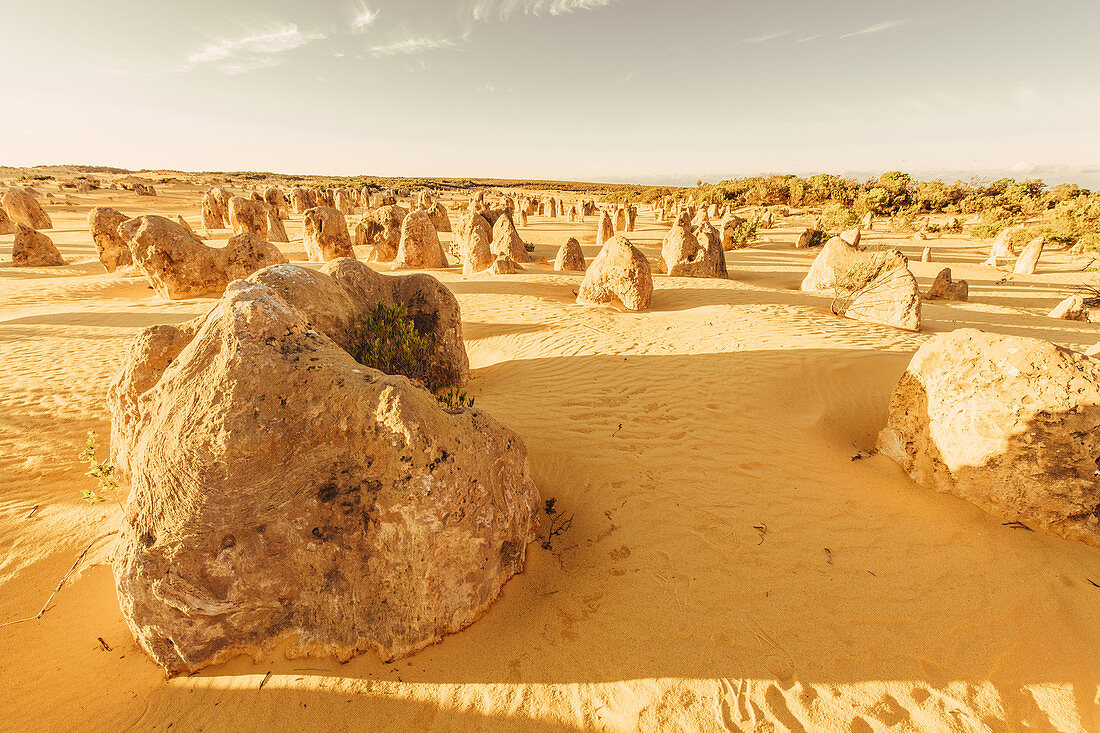 Sonnenaufgang bei den Pinnacles im Nambung Nationalpark in Westaustralien Australien, Ozeanien