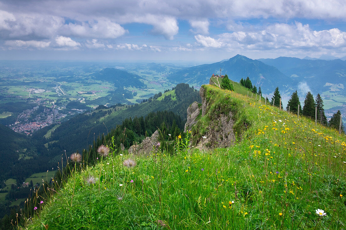 Sommerwiese im Gebirge der Nagelfluhkette, Allgäu, Oberstaufen, Bayern