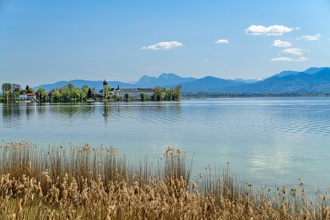 View of Chiemsee and Fraueninsel with monastery and campanile, Hochstaufen in the background, Chiemsee, Chiemseeradweg, Chiemgau, Upper Bavaria, Bavaria, Germany