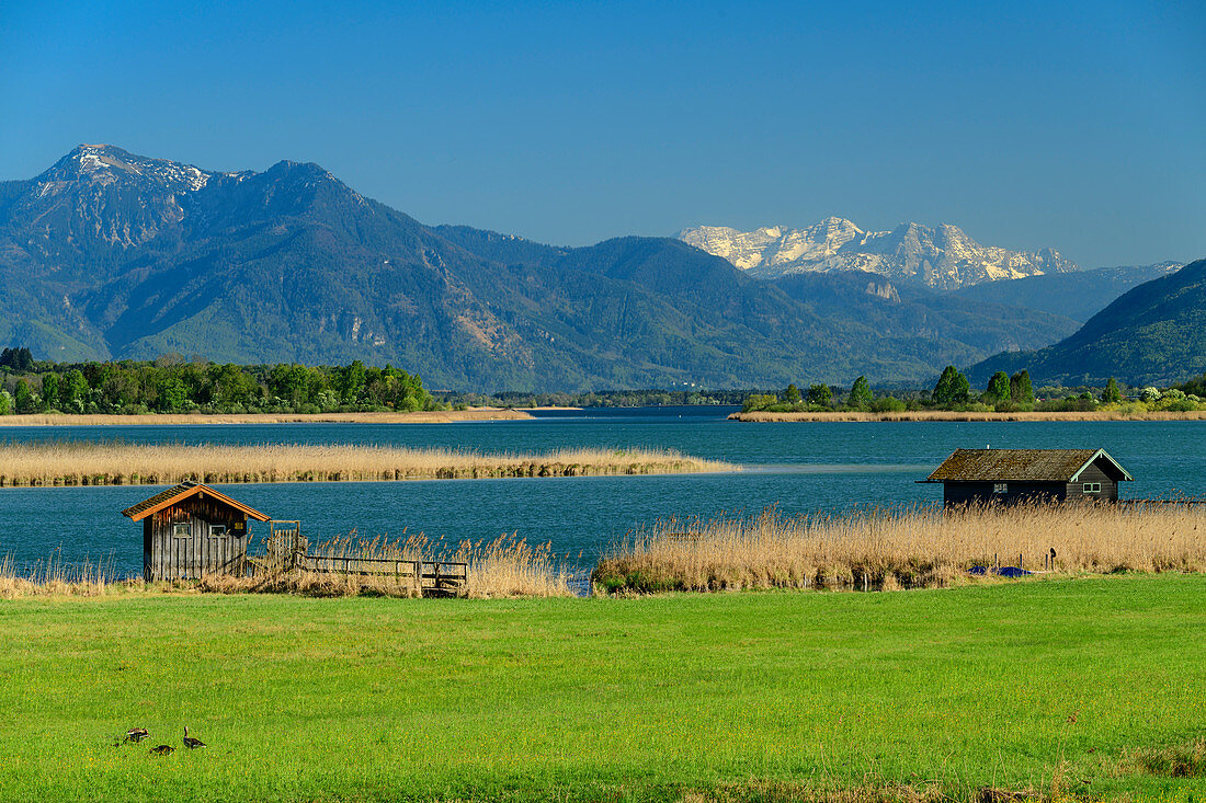 Chiemsee mit Hochgern und Loferer Steinberge im Hintergrund, Chiemsee, Benediktradweg, Chiemseeradweg, Chiemgau, Oberbayern, Bayern, Deutschland