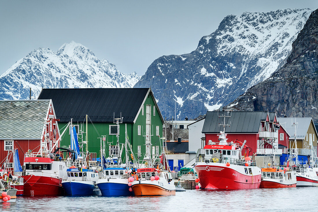 Schiffe im Hafen von Henningsvaer, verschneite Berge im Hintergrund, Henningsvaer, Lofoten, Nordland, Norwegen