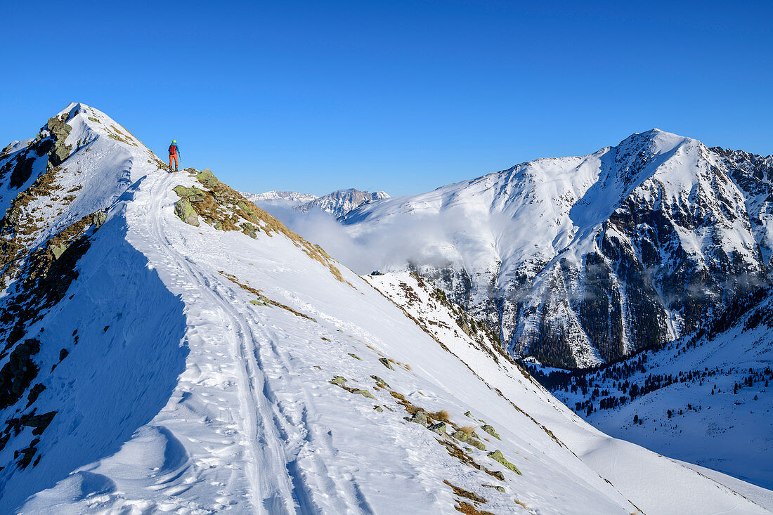 Frau auf Skitour steigt auf zum Wetterkreuzkogel, Wetterkreuzkogel, Stubaier Alpen, Tirol, Österreich 