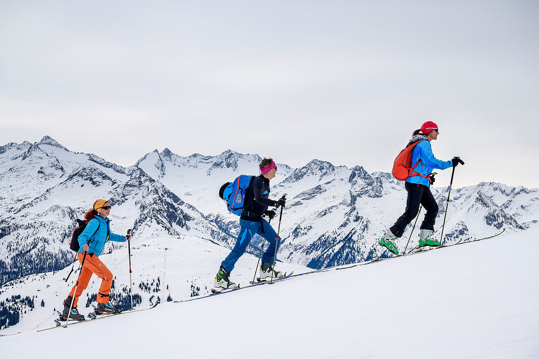 Drei Personen auf Skitour steigen zum Ronachgeier auf, Zillertaler Alpen im Hintergrund, Ronachgeier, Kitzbüheler Alpen, Salzburg, Österreich