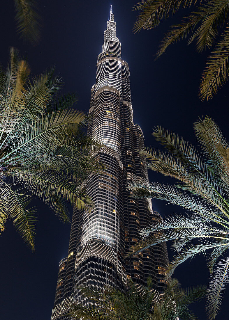 Blick durch die Palmen zur Spitze des beleuchteten Burj Khalifa in Dubai, VAE