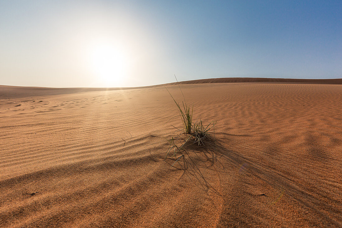 The desert to Dubai, UAE