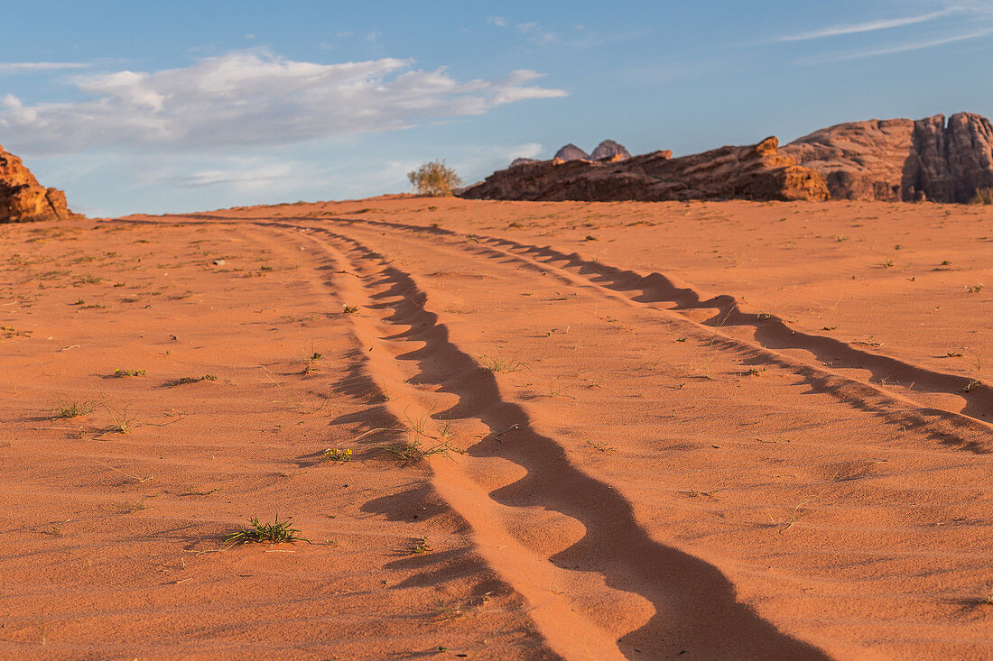 Car tracks in the Wadi Rum desert in Jordan