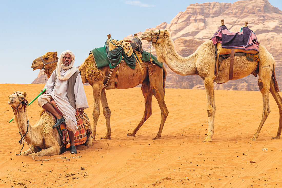 Beduine mit seinen Kamelen in der Wadi Rum Wüste in Jordanien