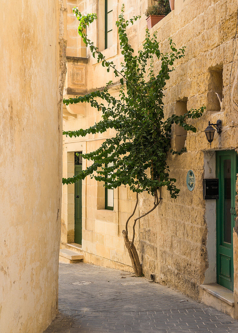 The narrow streets of Victoria, Gozo, Malta
