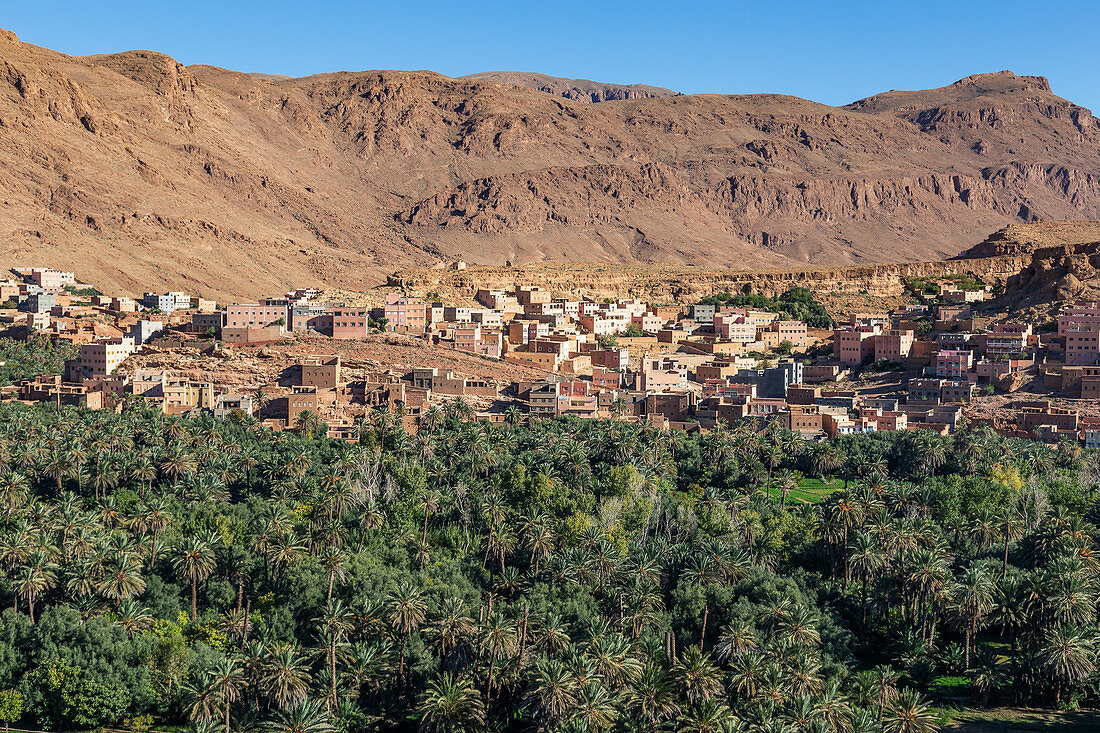 Blick auf die Oasenstadt Thingir, Marokko