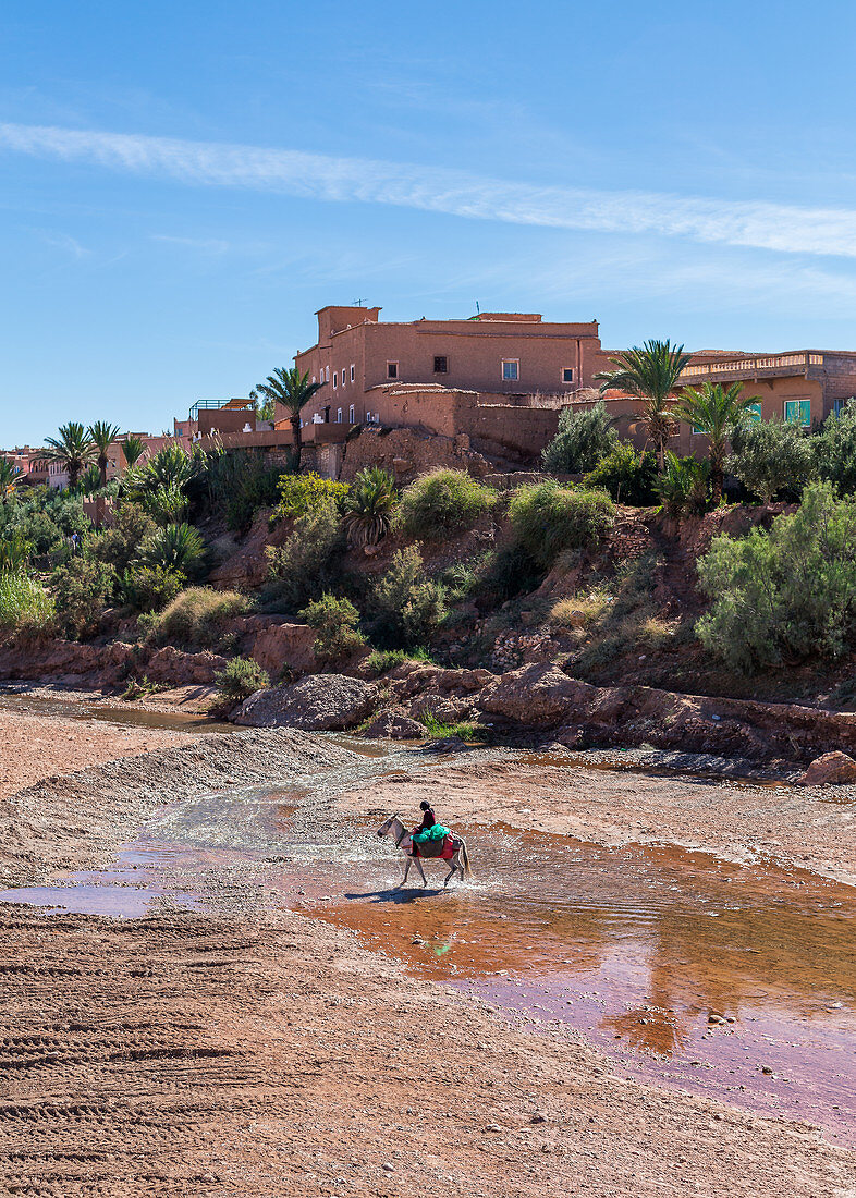 Berber reitet vor der alten Stadt Ait Ben Haddou, Marokko