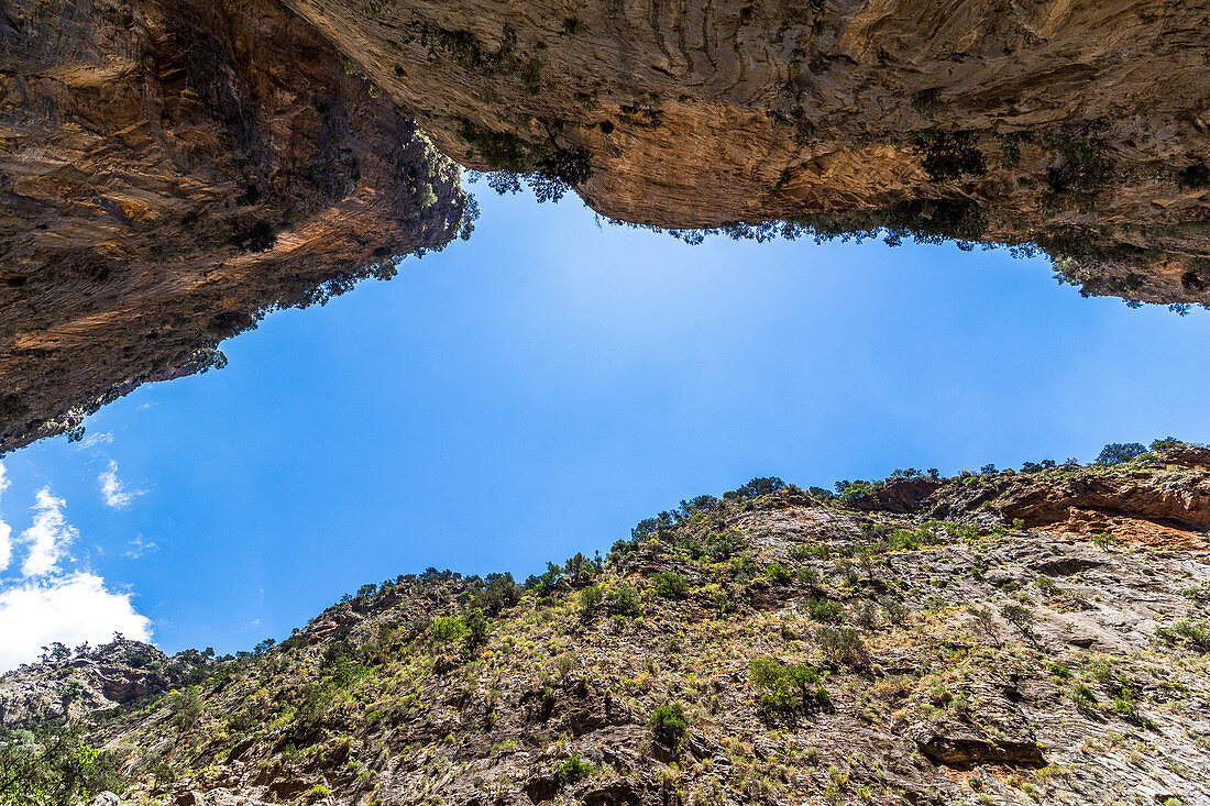 Looking up at high rock walls in Samaria Gorge, West Crete, Greece