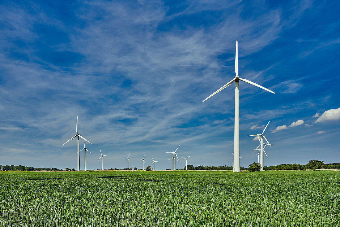 Wind farm in the state of Wursten, Lower Saxony, Germany