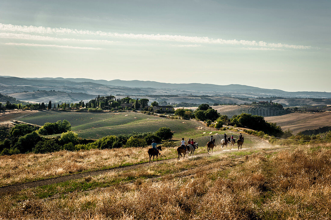 Gruppe mit Reitern beim Ausreiten, Buonconvento, Toskana, Italien