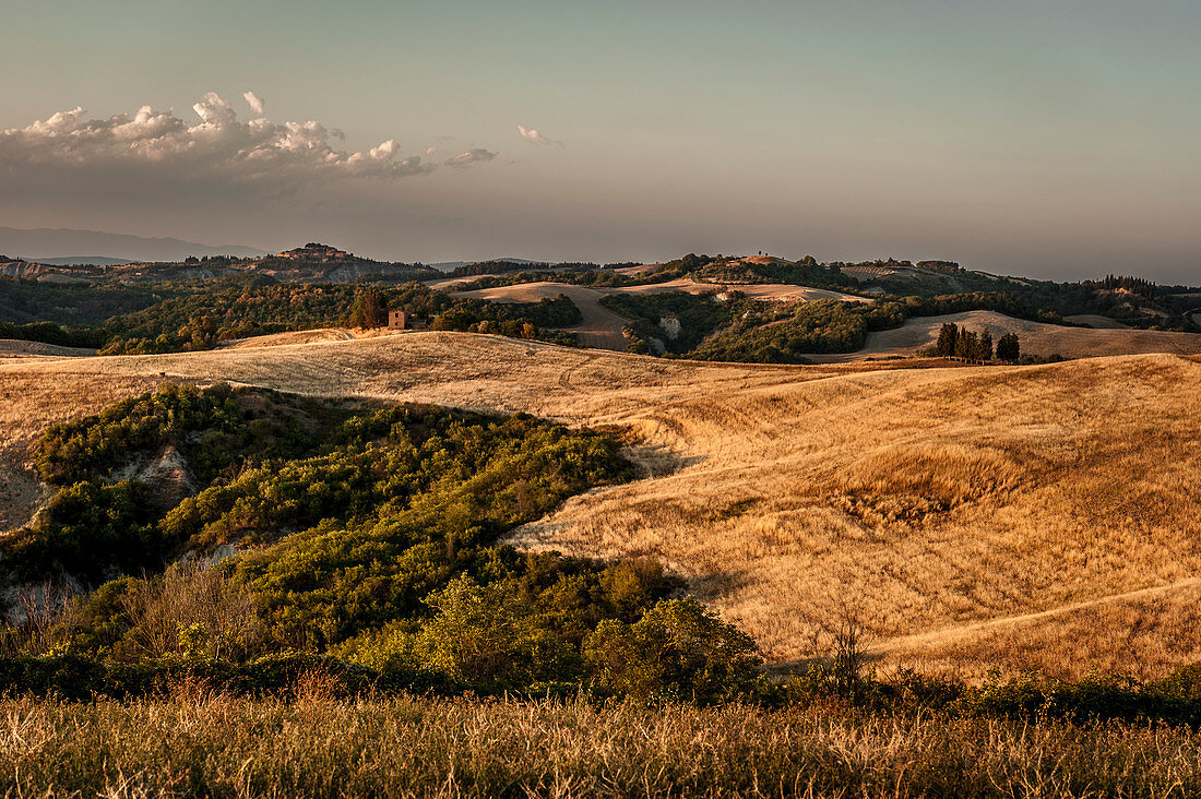 Hilly landscape in the evening light, Buonconvento, Tuscany, Italy