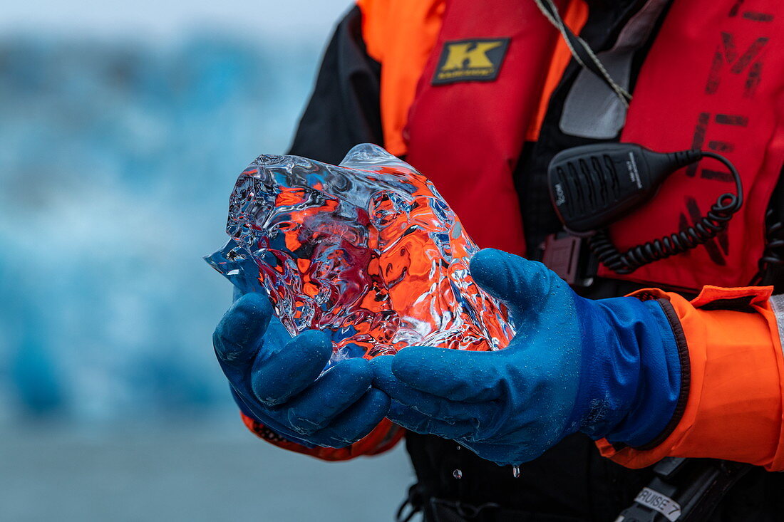 Ein Zodiac-Schlauchbootfahrer von einem Expeditionsschiff hält ein Stück kristallklares Gletschereis, Pio XI-Gletscher, Magallanes y de la Antartica Chilena, Patagonien, Chile, Südamerika