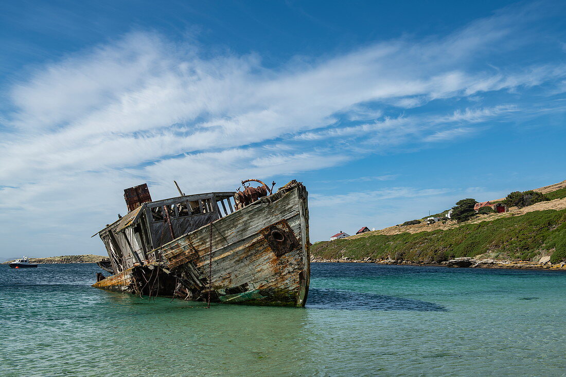 Ein Robbenjagdschiff liegt permanent auf Grund und verrottet in der Bucht, in der jährlich viele Passagiere von Expeditionskreuzfahrtschiffen landen, New Island, Falklandinseln, British Overseas Territory