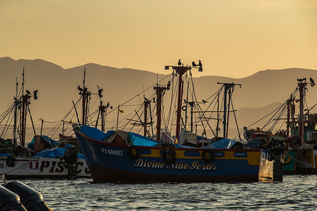 Fischerboote liegen im Licht des späten Nachmittags vor Anker, Paracas, Ica, Peru, Südamerika