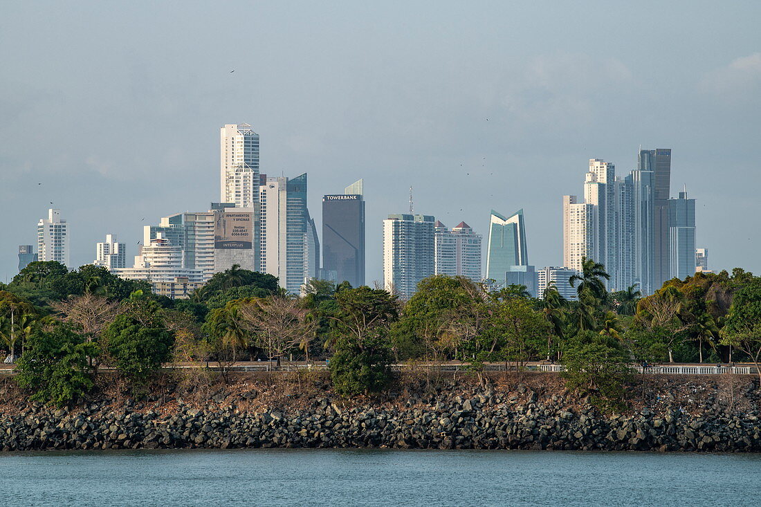 Urban landscape of the modern skyline with trees in front of it, as seen from the approach to the Panama Canal, Panama City, Panama, Central America