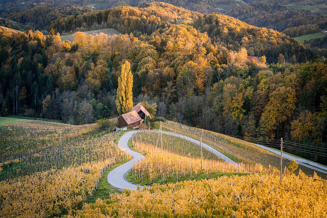 Die Herzerl Straße im Herbst unmittelbar an der Grenze zwischen der Steiermark und Slowenien