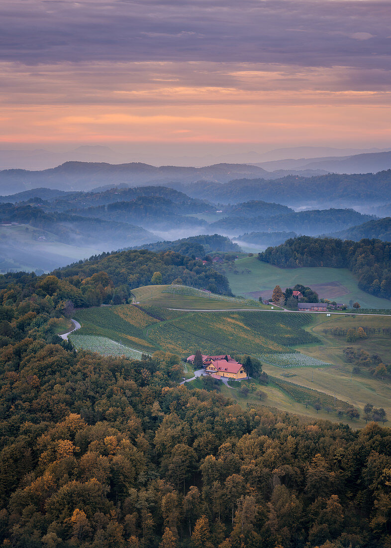 Morgendlicher Blick vom Aussichtsturm am Platschberg auf die hügelige slowenische Landschaft von Kungota, Slowenien
