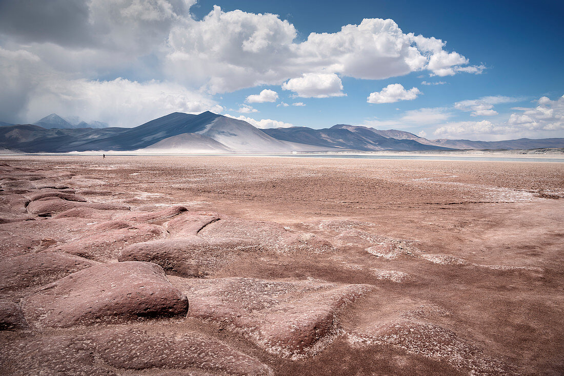 Lagune Piedras Rojas, Lagunas Altiplanicas, Hochebene „Altiplano“, Atacama Wüste, Region Antofagasta, Chile, Südamerika