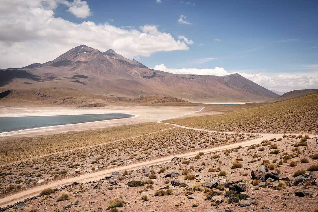 Laguna Miscanti and Miñiques, &quot;Altiplano&quot; plateau, Atacama desert, Antofagasta region, Chile, South America