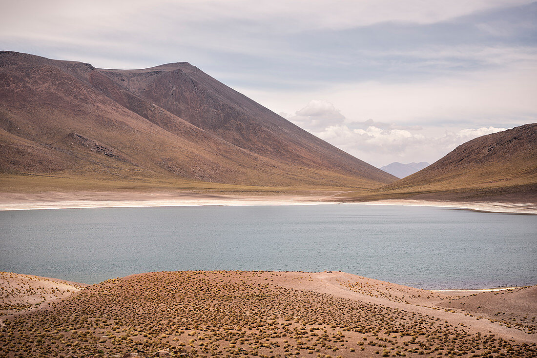 Laguna Miscanti und Miñiques, Hochebene „Altiplano“, Atacama Wüste, Region Antofagasta, Chile, Südamerika