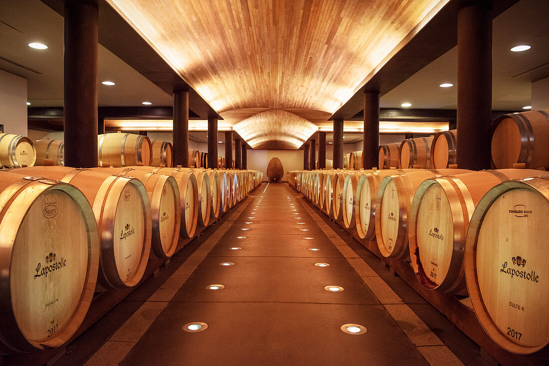 Wine storage in oak barrels, Lapostolle Winery, Santa Cruz, Colchagua Valley (wine growing area), Chile, South America