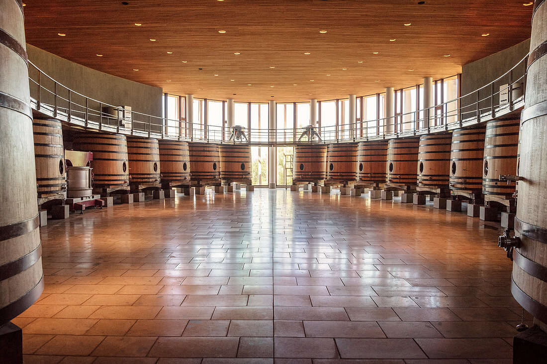 Weinfässer im Weingut Lapostolle, Santa Cruz, Colchagua Tal (Weinanbau Gebiet), Chile, Südamerika