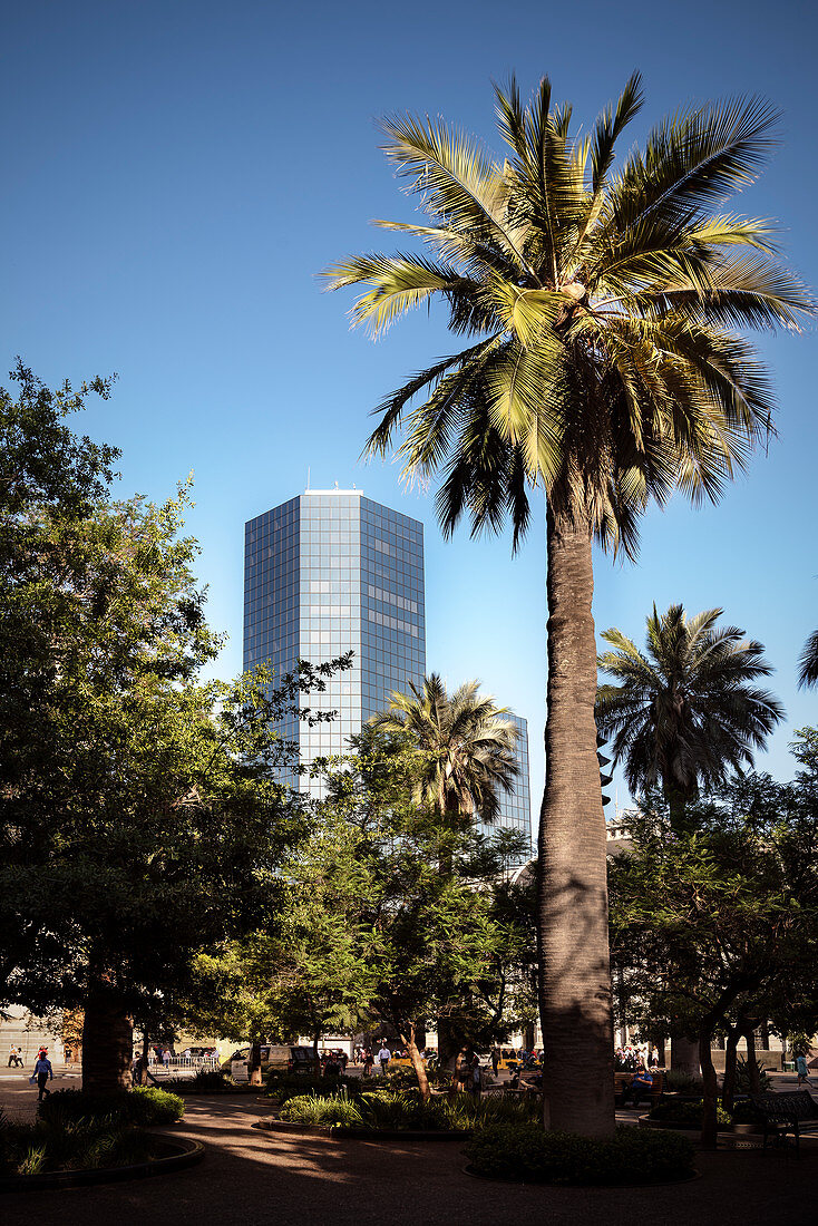 Blick vom Park des Plaza de Armas auf umliegenden Büroturm, Hauptstadt Santiago de Chile, Chile, Südamerika