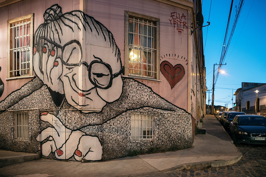 Mural (large mural) on typical corrugated iron facade, street art in the streets of Valparaiso, Chile, South America