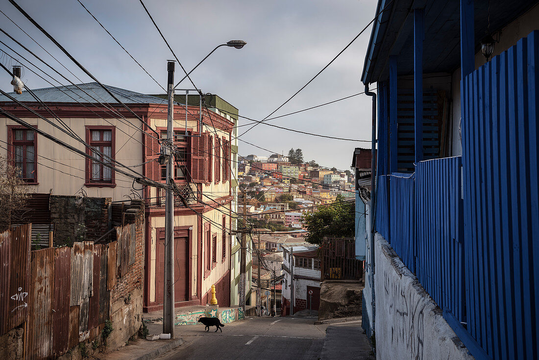 Corrugated iron architecture, colorful houses and the hills of Valparaiso, Chile, South America