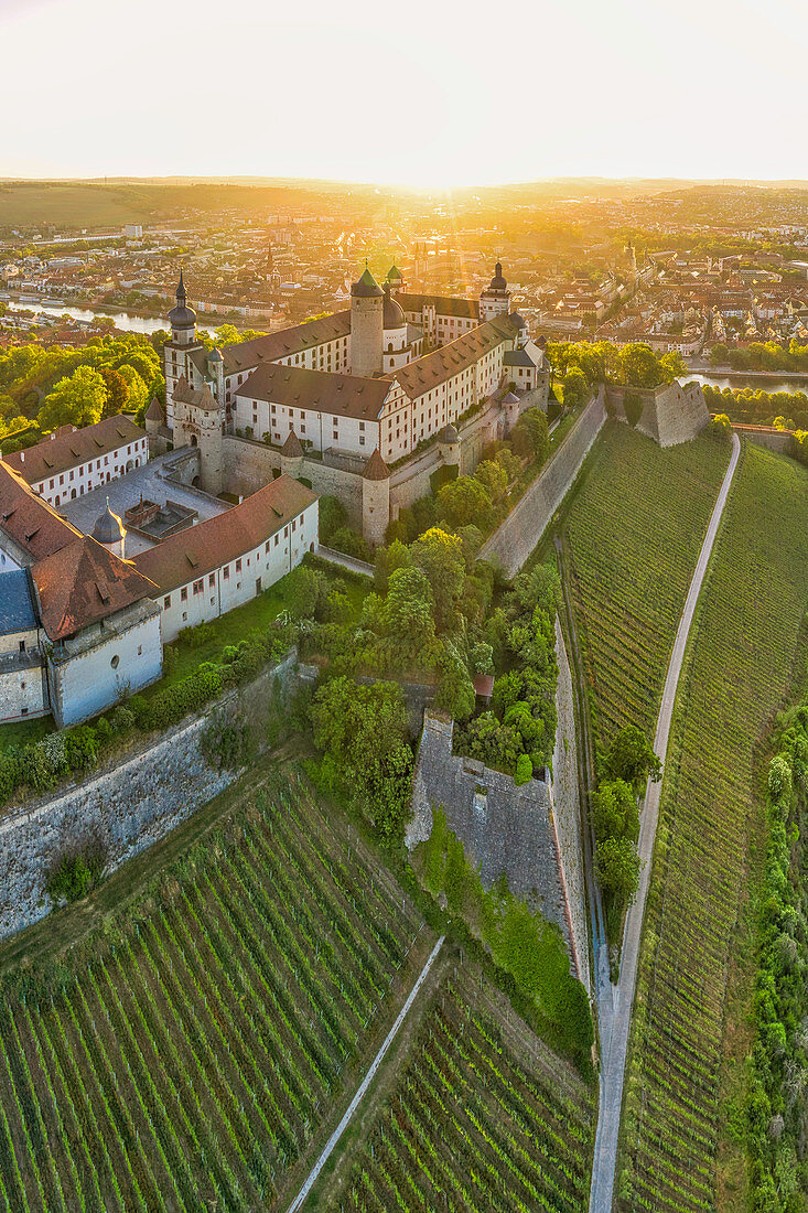 Aerial view of Marienberg Fortress in Wuerzburg, sunrise, Lower Franconia, Franconia, Bavaria, Germany, Europe