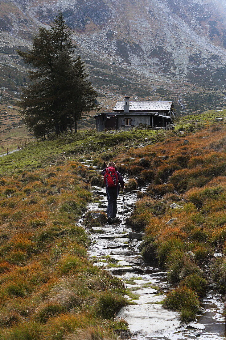 Aufstieg auf der Via Mala zum Splügenpass, Graubünden
