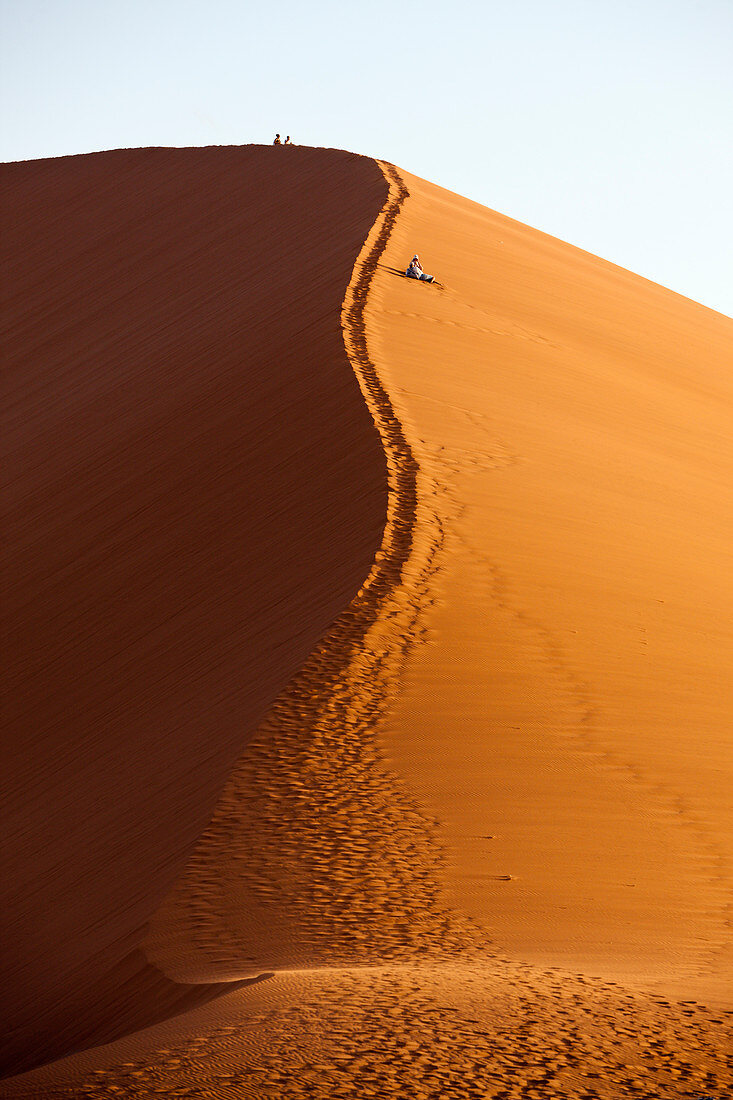 Dune 45 in Sossusvlei area, Namib Naukluft Park, Namibia