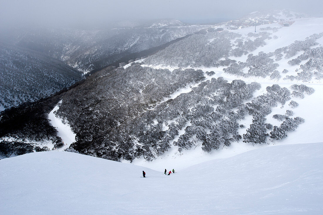 Pisten unterhalb des Skidorfes von Mount Hotham, Victoria, Australien