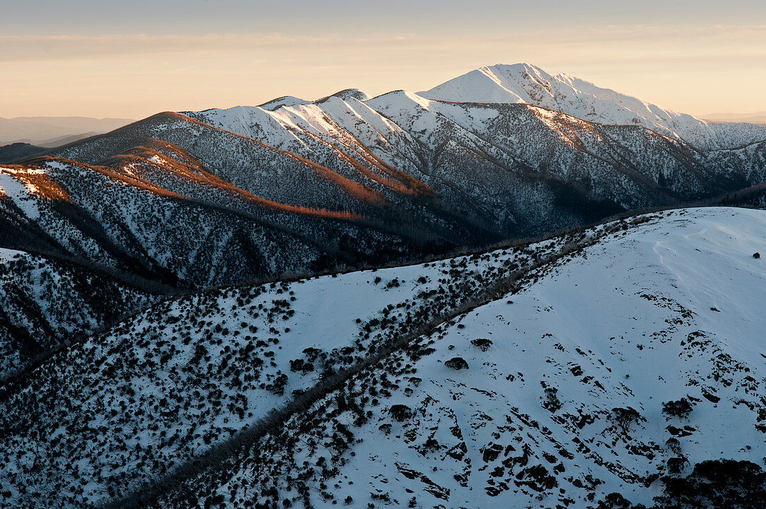 Mt. Feathertop with the Razorback Ridge in Alpine National Park in the early morning light, Victoria, Australia