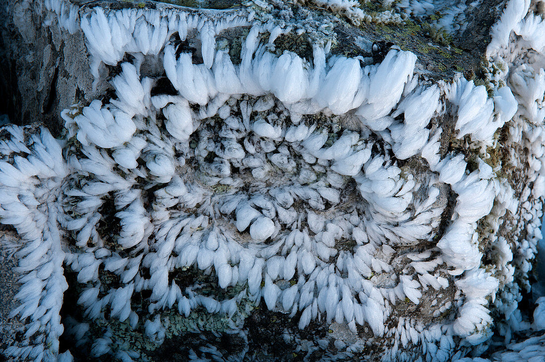 Eiskristalle nach einem Schneesturm an den Basaltfelsen des Mount Loch im Alpine National Park, Victoria, Australien