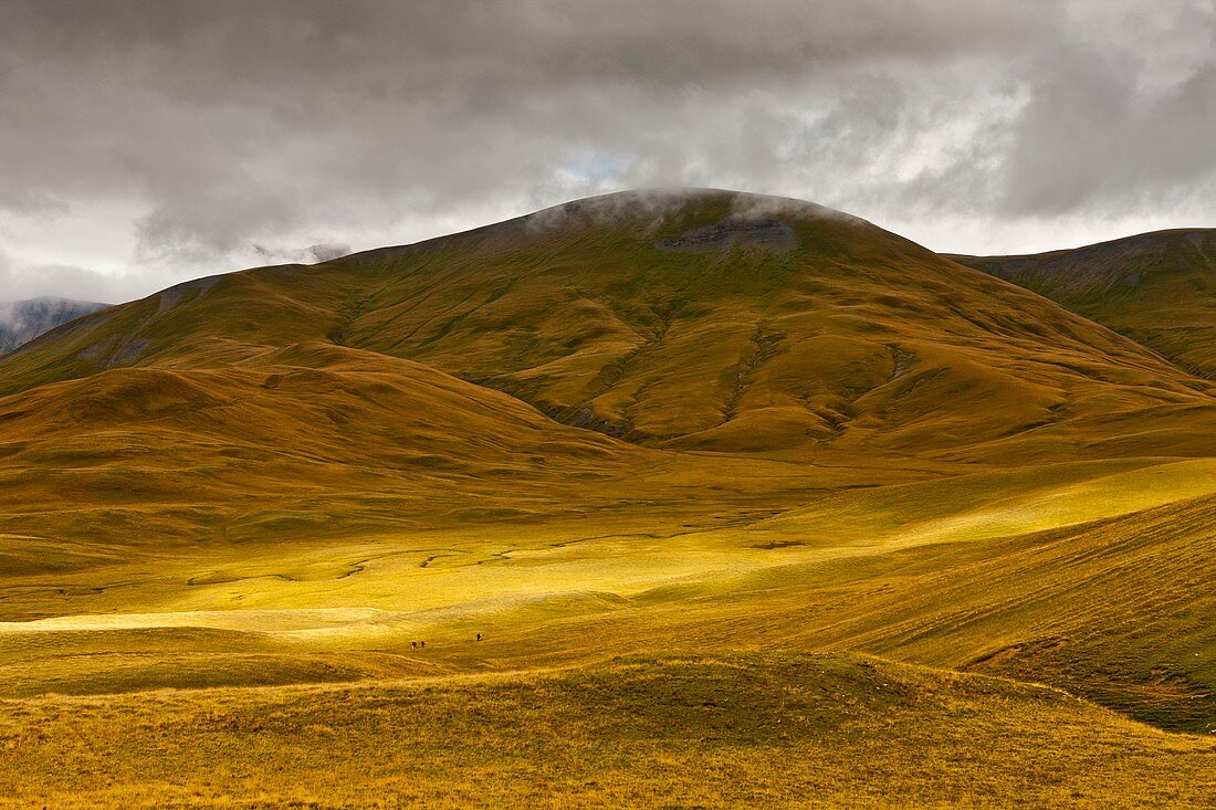 France, Isere, Ecrins National Park, the Emparis plateau