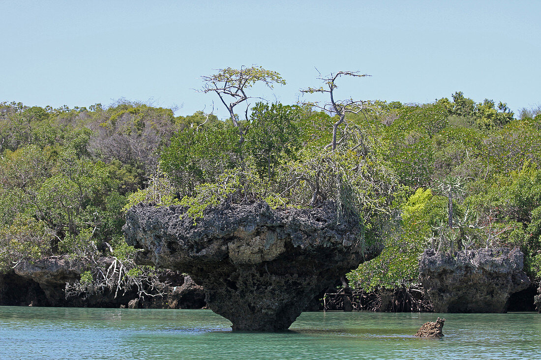 Felsige Mangrovenränder und Mangroveninseln im Ozean, vor der Küste Sansibars, Insel Unguja, Tansania