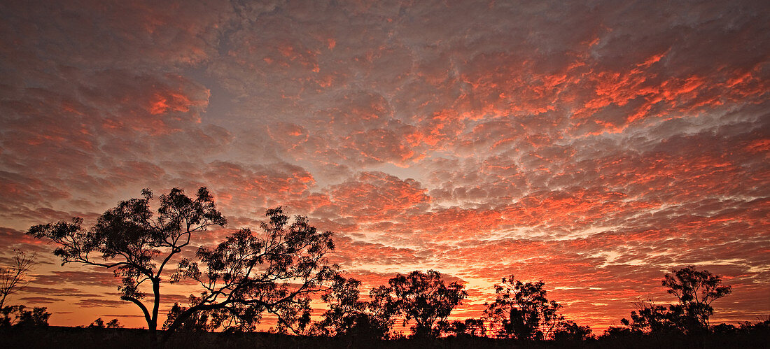 Kimberley, Australien - 12. September 2008: Rote Wolkenlandschaft