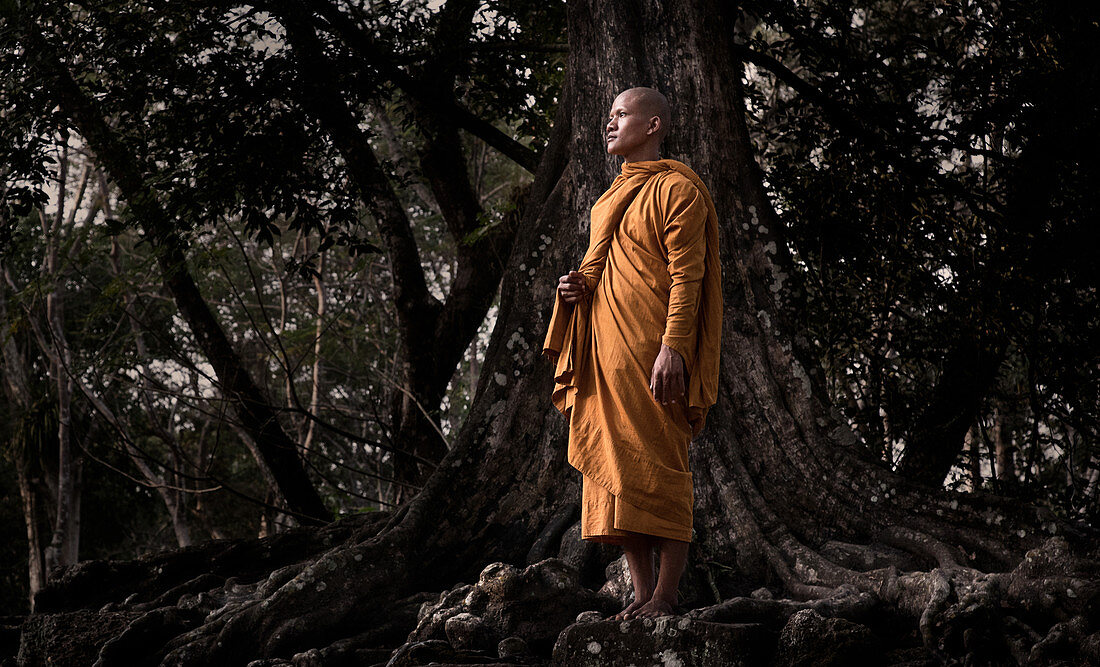 Siem Reap, Cambodia - January 19, 2011: A monk in his orange robe is standing next to an old tree inside the Angkor Wat complex.
