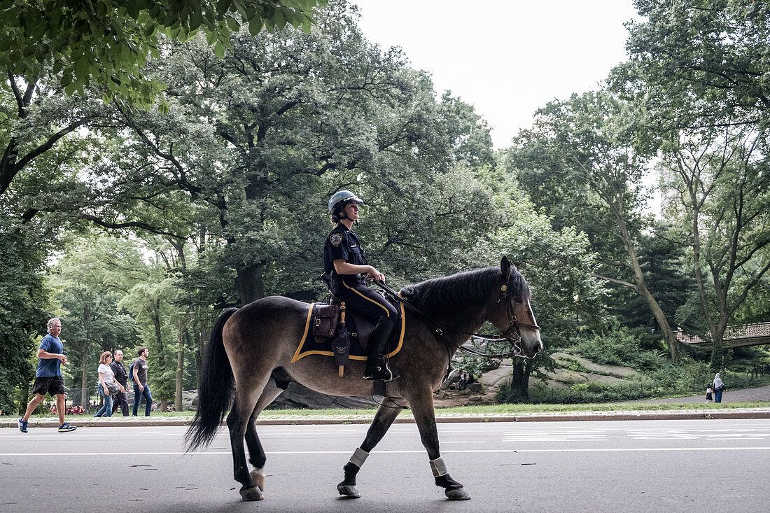 New York, United States of America - July 11, 2017. A New York Police officer on a horse in Central Park.