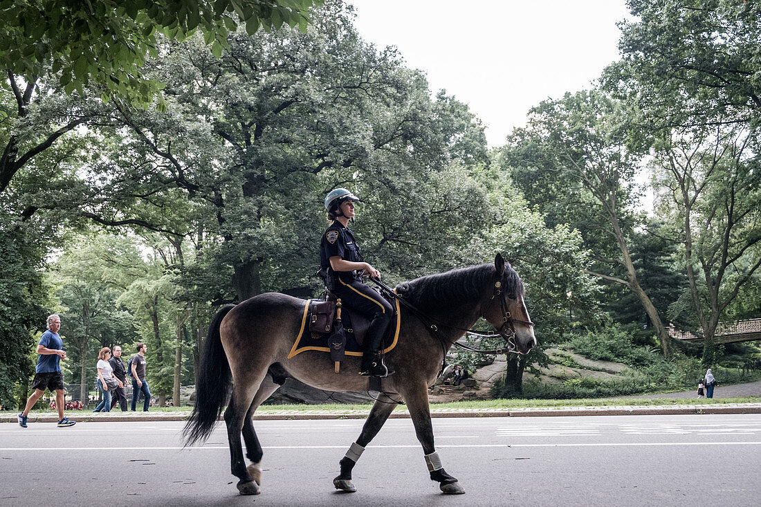 New York, Vereinigte Staaten von Amerika - 11. Juli 2017. Ein New Yorker Polizist auf einem Pferd im Central Park