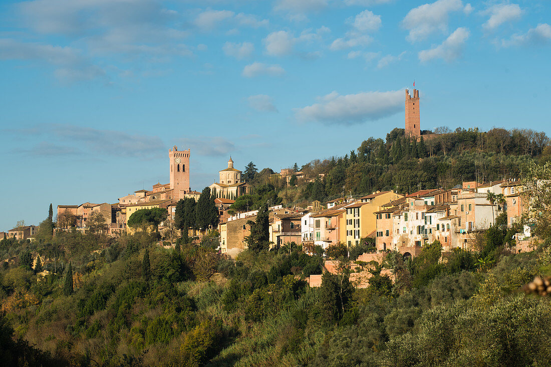 Overview of San Miniato with Federico's tower and Cathedral