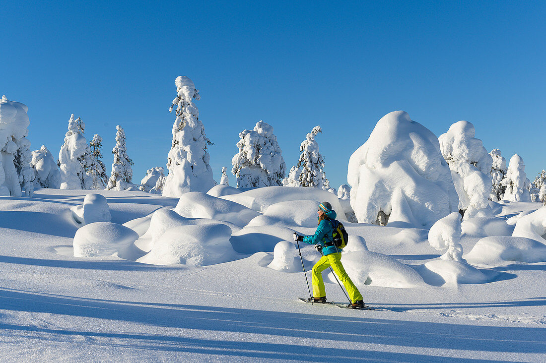 Schneeschuhwandern im Pyhä-Luosto-Nationalpark, Finnland