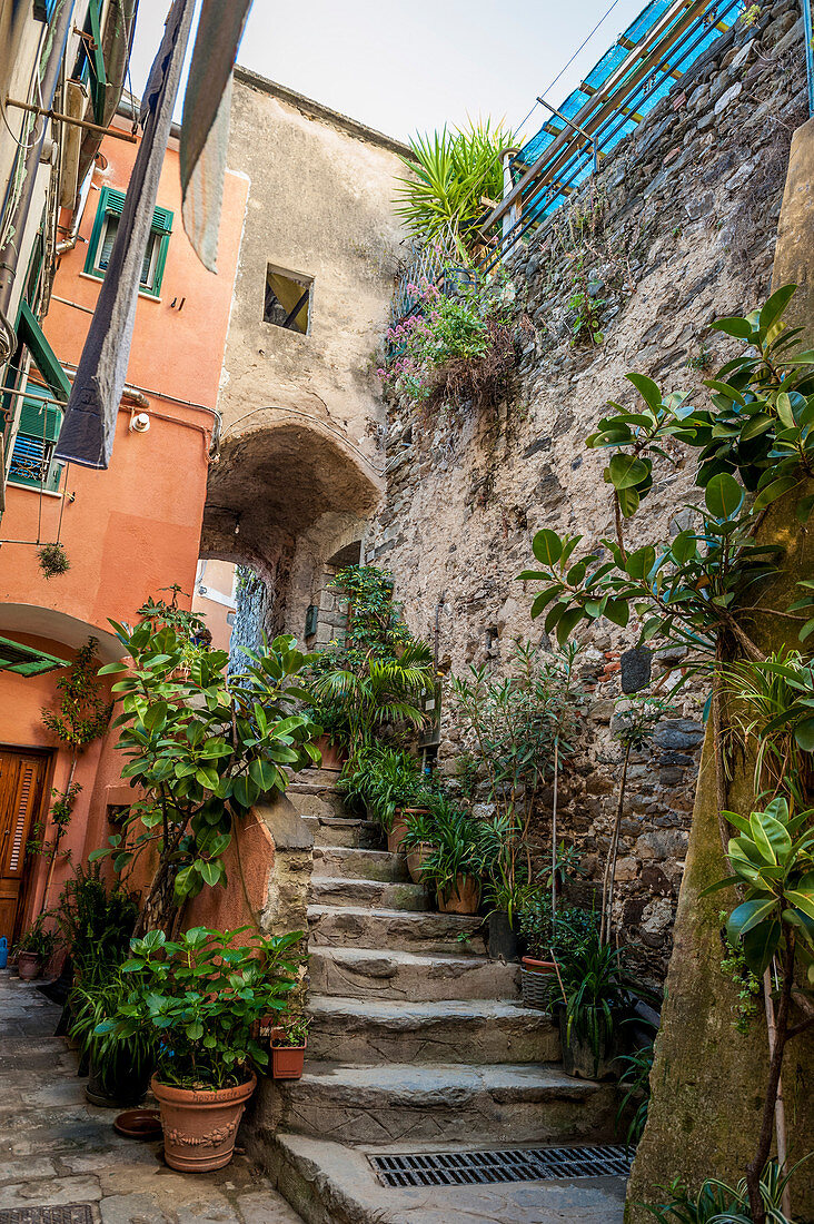 In the narrow streets of Vernazza, Cinque Terre, Italy