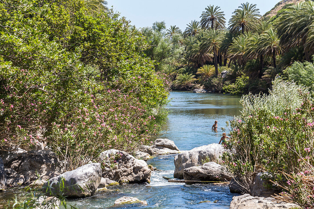 Palmenhain am Fluss hinter dem Palmenstrand von Preveli im Sommer, Mitte Kreta, Griechenland