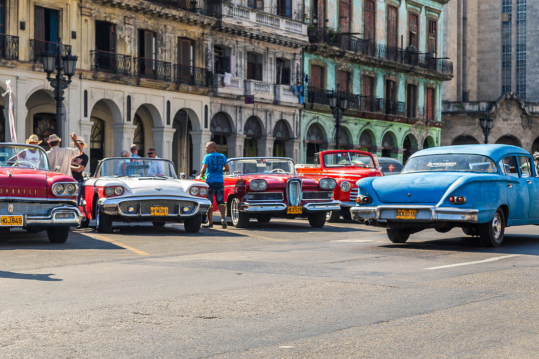 Mehrere Oldtimer, Havanna, Kuba